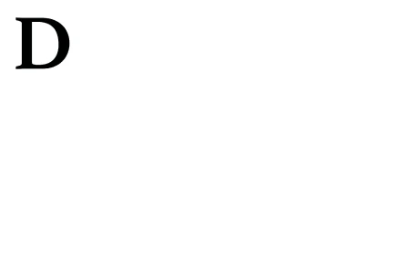 Debt Recovery Indonesia